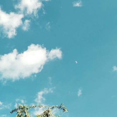 竞猜足球app下载手机版截图